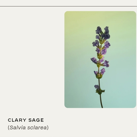 New Twentynine Palms Skincare Cosmic Cypress Facial Cleanser Clary Sage 3.3oz - Picture 5 of 6